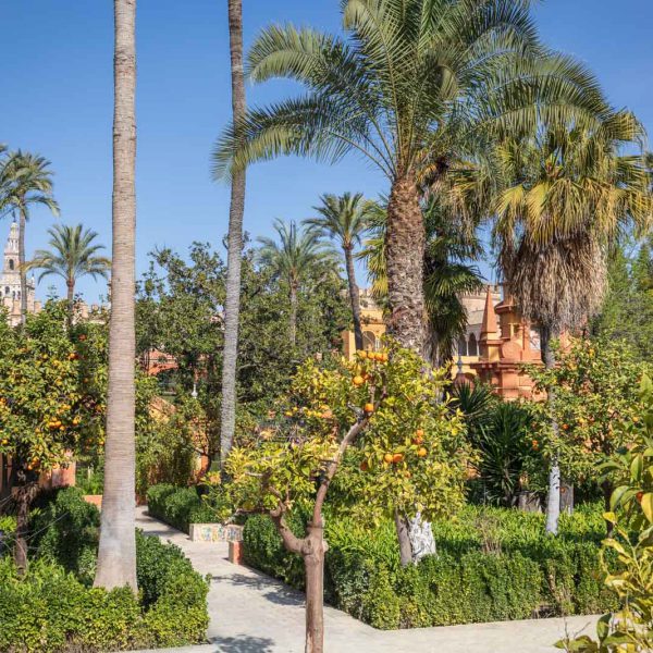 Alcazar, Alcazar Real de Sevilla, Andalusia, Andalusien, Sevilla, Seville, Spain, Spanien