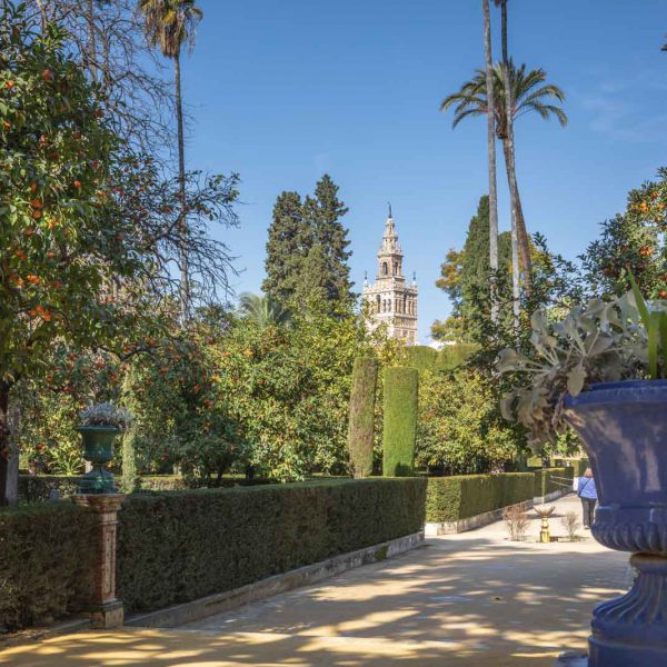 Alcazar, Alcazar Real de Sevilla, Andalusia, Andalusien, Sevilla, Seville, Spain, Spanien