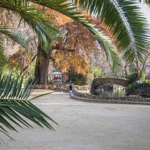 Andalusia, Andalusien, Maria-Luisa, Park, Sevilla, Seville, Spain, Spanien