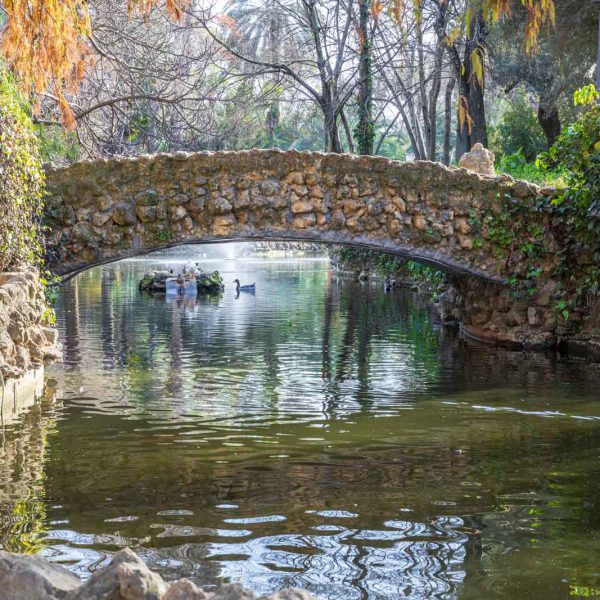 Andalusia, Andalusien, Maria-Luisa, Park, Sevilla, Seville, Spain, Spanien