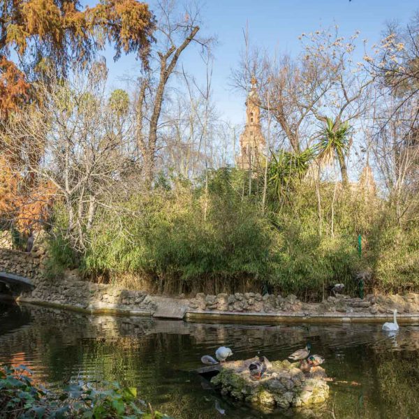 Andalusia, Andalusien, Maria-Luisa, Park, Sevilla, Seville, Spain, Spanien