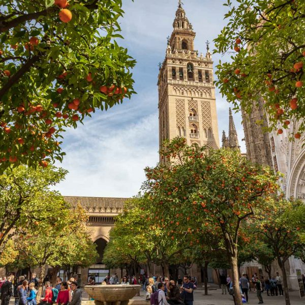 Andalusia, Andalusien, Cathedral, Church, Giralda, Kathedrale, Kirche, Sevilla, Seville, Spain, Spanien, Tower, Turm