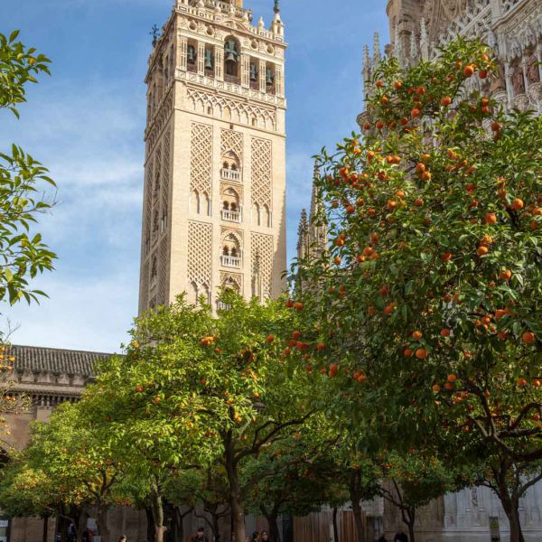 Andalusia, Andalusien, Cathedral, Church, Giralda, Kathedrale, Kirche, Sevilla, Seville, Spain, Spanien, Tower, Turm