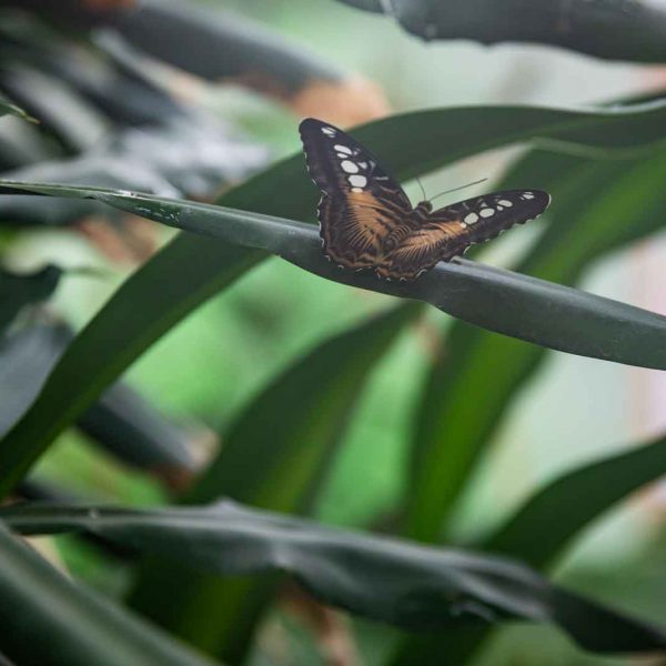 Czechia, Karlovy Vary, Karlsbad, Tschechien, Urlaub, Vaccation