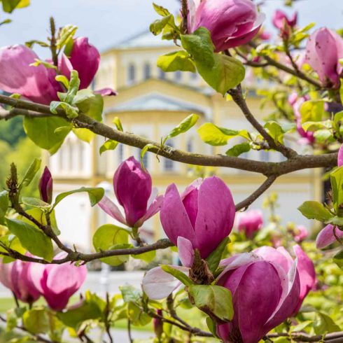 Czechia, Marienbad, Mariánské Lázně, Tschechien, Urlaub, Vaccation