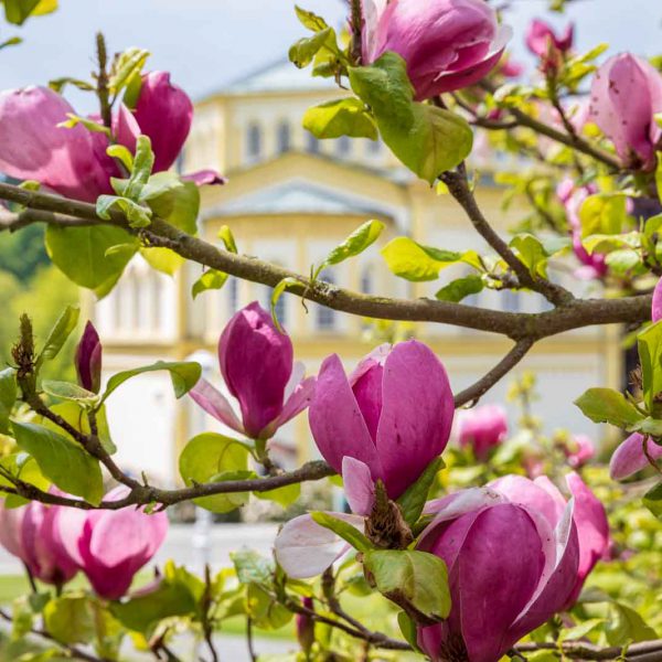 Czechia, Marienbad, Mariánské Lázně, Tschechien, Urlaub, Vaccation