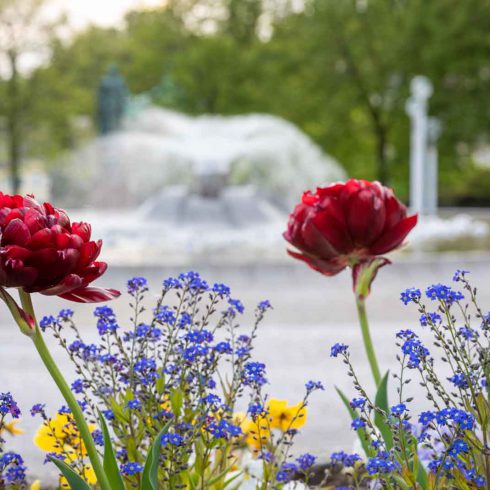 Czechia, Marienbad, Mariánské Lázně, Tschechien, Urlaub, Vaccation