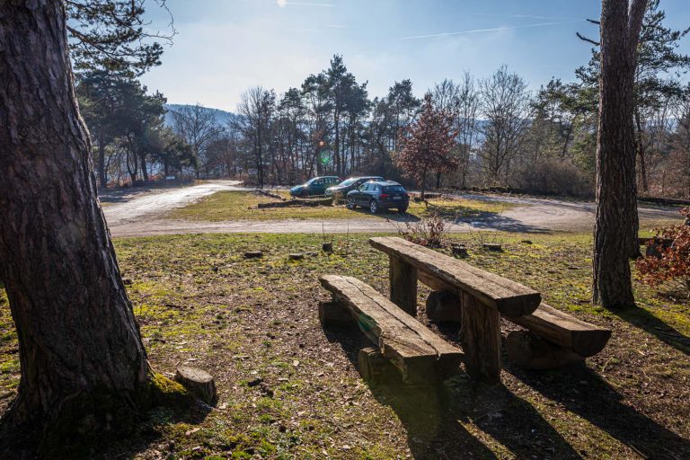 Animal, Deutschland, Europa, Europe, Germany, Herborn, Hessen, Hessia, Location, Ort, Tier, Tiergarten, Winter, Zoo