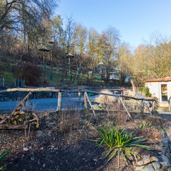 Animal, Deutschland, Europa, Europe, Germany, Herborn, Hessen, Hessia, Location, Ort, Tier, Tiergarten, Winter, Zoo