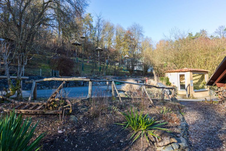 Animal, Deutschland, Europa, Europe, Germany, Herborn, Hessen, Hessia, Location, Ort, Tier, Tiergarten, Winter, Zoo