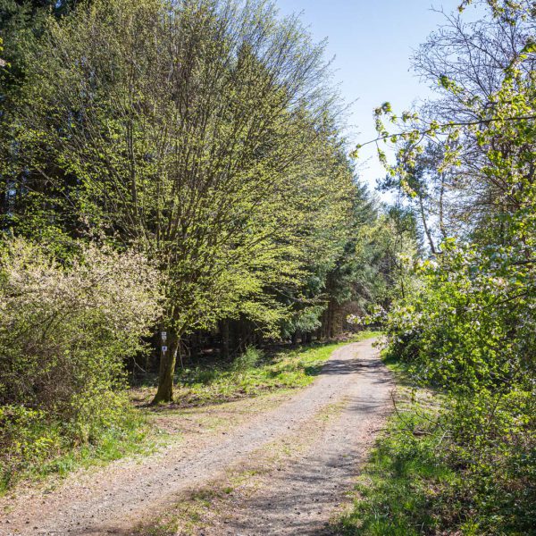 Deutschland, Europa, Europe, Frühling, Germany, Hessen, Hessia, Hinterland, Lahn-Dill-Bergland, Location, Ort, Spring