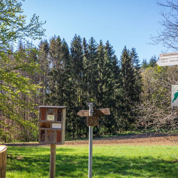 Deutschland, Europa, Europe, Frühling, Germany, Hessen, Hessia, Hinterland, Lahn-Dill-Bergland, Location, Ort, Spring