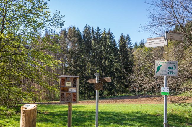 Deutschland, Europa, Europe, Frühling, Germany, Hessen, Hessia, Hinterland, Lahn-Dill-Bergland, Location, Ort, Spring