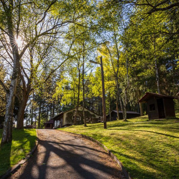 Deutschland, Europa, Europe, Frühling, Germany, Hessen, Hessia, Hinterland, Lahn-Dill-Bergland, Location, Ort, Spring