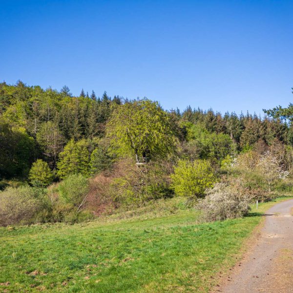 Deutschland, Europa, Europe, Frühling, Germany, Hessen, Hessia, Hinterland, Lahn-Dill-Bergland, Location, Ort, Spring