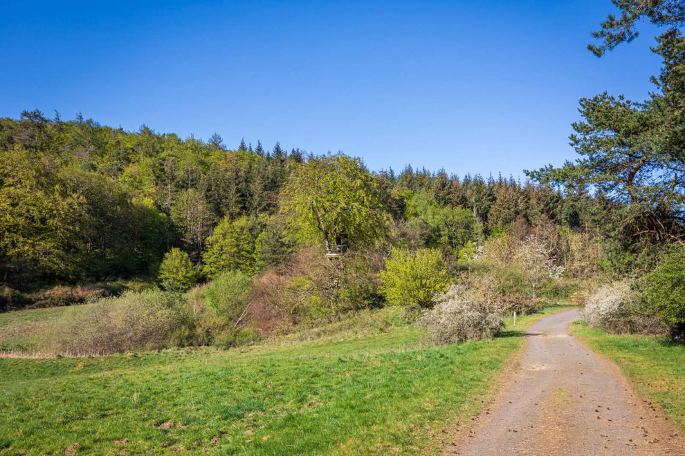 Deutschland, Europa, Europe, Frühling, Germany, Hessen, Hessia, Hinterland, Lahn-Dill-Bergland, Location, Ort, Spring