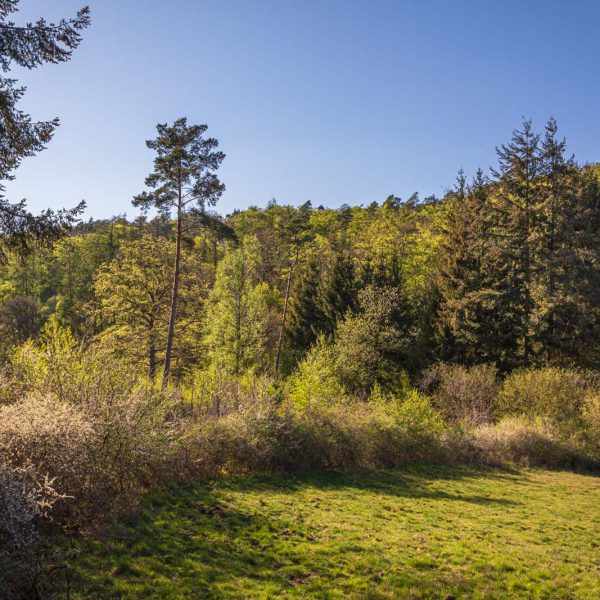 Deutschland, Europa, Europe, Frühling, Germany, Hessen, Hessia, Hinterland, Lahn-Dill-Bergland, Location, Ort, Spring
