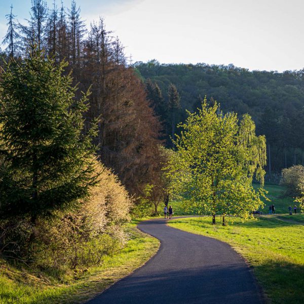 Abend, Deutschland, Europa, Europe, Evening, Germany, Hessen, Hessia, Hinterland, Location, Ort, See, lake