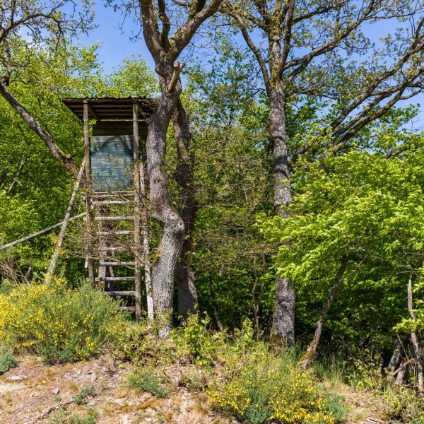 Ansitz, Deutschland, Europa, Europe, Extratour, Frühling, Germany, Hessen, Hessia, Hinterland, Lahn-Dill-Bergland, Location, Ort, Spring, Wandern