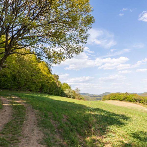 Deutschland, Europa, Europe, Extratour, Frühling, Germany, Hessen, Hessia, Hinterland, Lahn-Dill-Bergland, Location, Ort, Spring, Wandern