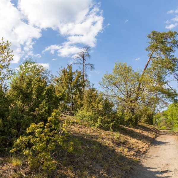Deutschland, Europa, Europe, Extratour, Frühling, Germany, Hessen, Hessia, Hinterland, Lahn-Dill-Bergland, Location, Ort, Spring, Wandern