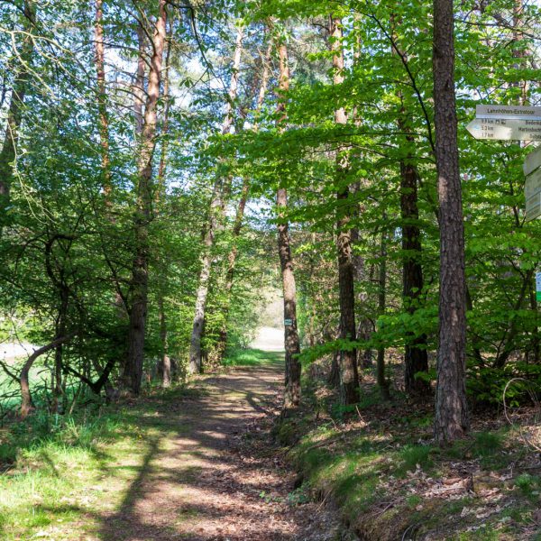 Deutschland, Europa, Europe, Extratour, Frühling, Germany, Hessen, Hessia, Hinterland, Lahn-Dill-Bergland, Location, Ort, Spring, Wandern
