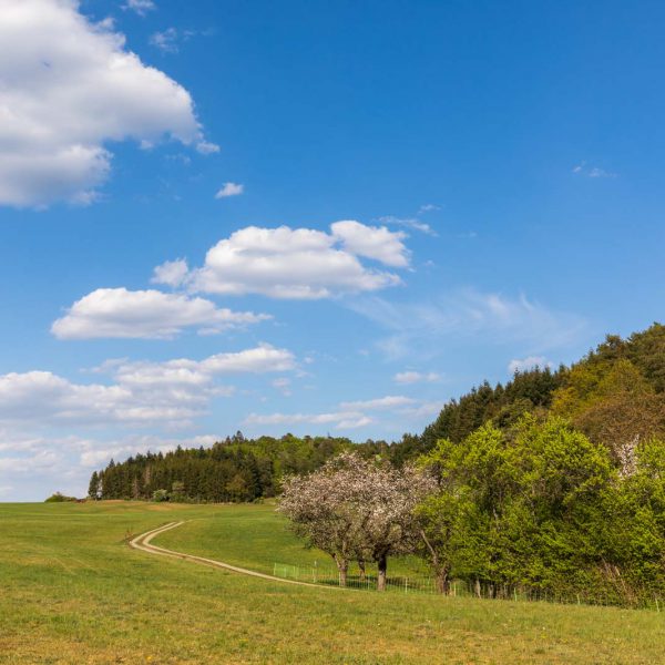 Deutschland, Europa, Europe, Extratour, Frühling, Germany, Hessen, Hessia, Hinterland, Lahn-Dill-Bergland, Location, Ort, Spring, Wandern