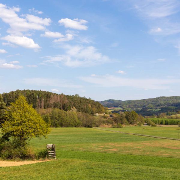 Ansitz, Deutschland, Europa, Europe, Extratour, Frühling, Germany, Hessen, Hessia, Hinterland, Lahn-Dill-Bergland, Location, Ort, Spring, Wandern