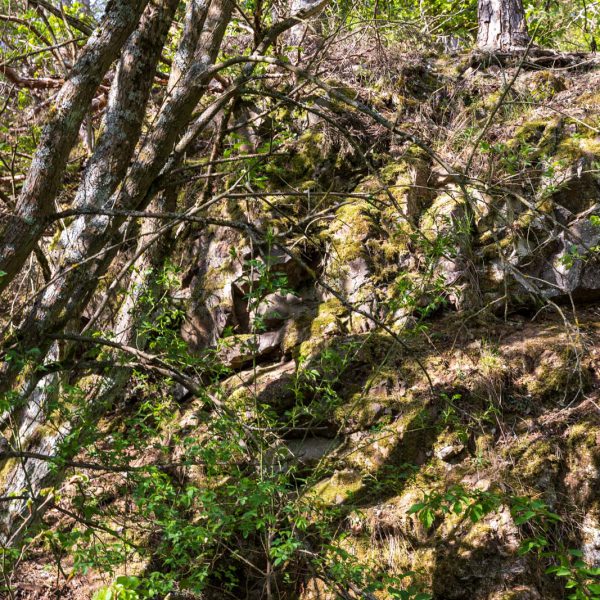 Deutschland, Europa, Europe, Extratour, Frühling, Germany, Hessen, Hessia, Hinterland, Lahn-Dill-Bergland, Location, Ort, Spring, Wandern