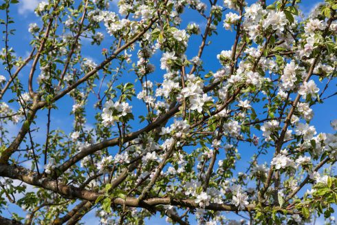 Deutschland, Europa, Europe, Extratour, Frühling, Germany, Hessen, Hessia, Hinterland, Lahn-Dill-Bergland, Location, Ort, Spring, Wandern