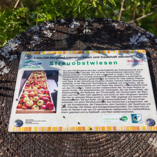 Deutschland, Europa, Europe, Extratour, Frühling, Germany, Hessen, Hessia, Hinterland, Lahn-Dill-Bergland, Location, Ort, Spring, Wandern