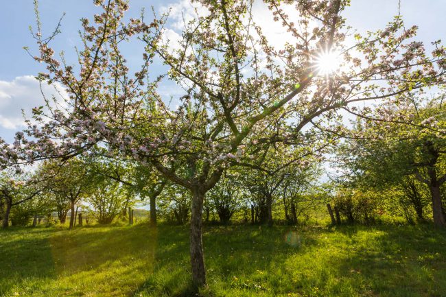 Deutschland, Europa, Europe, Extratour, Frühling, Germany, Hessen, Hessia, Hinterland, Lahn-Dill-Bergland, Location, Ort, Spring, Wandern