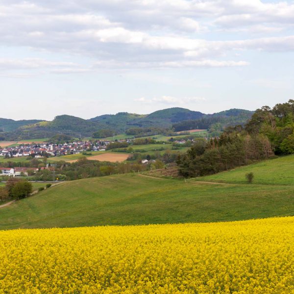 Deutschland, Europa, Europe, Extratour, Frühling, Germany, Hessen, Hessia, Hinterland, Lahn-Dill-Bergland, Location, Ort, Spring, Wandern
