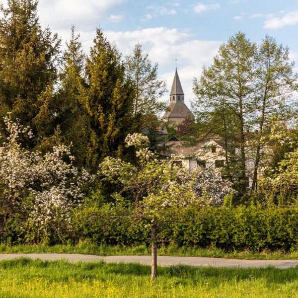 Deutschland, Europa, Europe, Extratour, Frühling, Germany, Hessen, Hessia, Hinterland, Lahn-Dill-Bergland, Location, Ort, Spring, Wandern