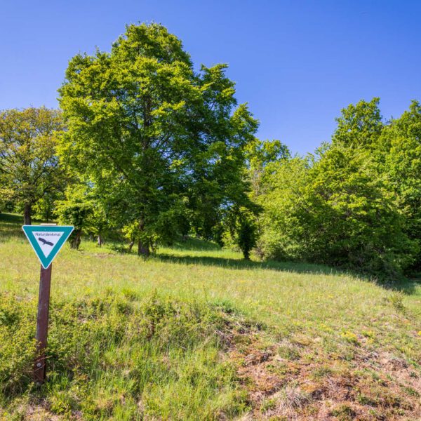 Deutschland, Europa, Europe, Extratour, Frühling, Germany, Hessen, Hessia, Hinterland, Lahn-Dill-Bergland, Location, Ort, Spring, Wandern