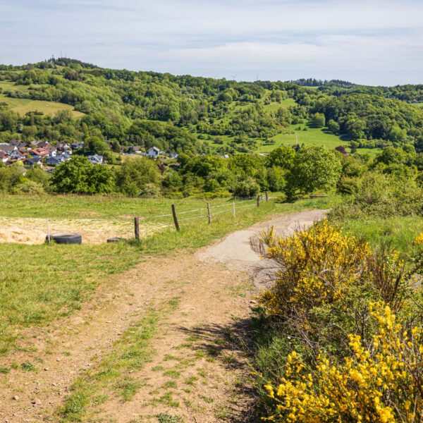 Deutschland, Europa, Europe, Extratour, Frühling, Germany, Hessen, Hessia, Hinterland, Lahn-Dill-Bergland, Location, Ort, Spring, Wandern