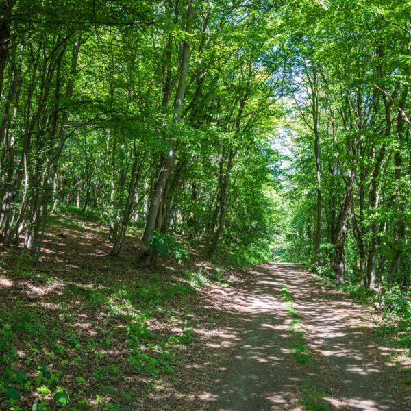 Deutschland, Europa, Europe, Extratour, Frühling, Germany, Hessen, Hessia, Hinterland, Lahn-Dill-Bergland, Location, Ort, Spring, Wandern