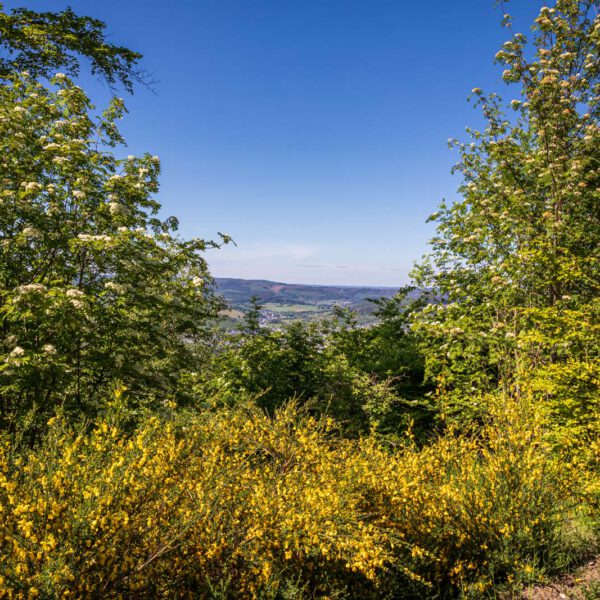 Deutschland, Europa, Europe, Extratour, Frühling, Germany, Hessen, Hessia, Hinterland, Lahn-Dill-Bergland, Location, Ort, Spring, Wandern