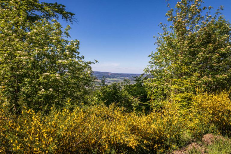 Deutschland, Europa, Europe, Extratour, Frühling, Germany, Hessen, Hessia, Hinterland, Lahn-Dill-Bergland, Location, Ort, Spring, Wandern