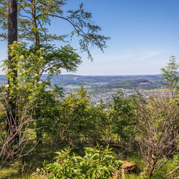 Deutschland, Europa, Europe, Extratour, Frühling, Germany, Hessen, Hessia, Hinterland, Lahn-Dill-Bergland, Location, Ort, Spring, Wandern