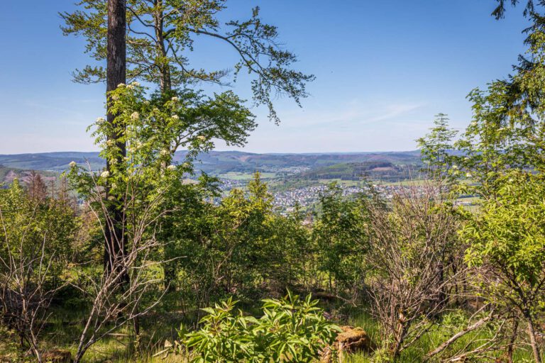 Deutschland, Europa, Europe, Extratour, Frühling, Germany, Hessen, Hessia, Hinterland, Lahn-Dill-Bergland, Location, Ort, Spring, Wandern