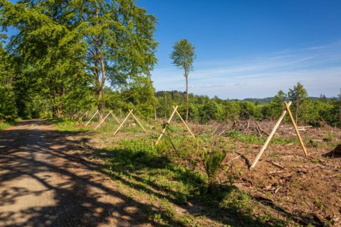 Deutschland, Europa, Europe, Extratour, Frühling, Germany, Hessen, Hessia, Hinterland, Lahn-Dill-Bergland, Location, Ort, Spring, Wandern