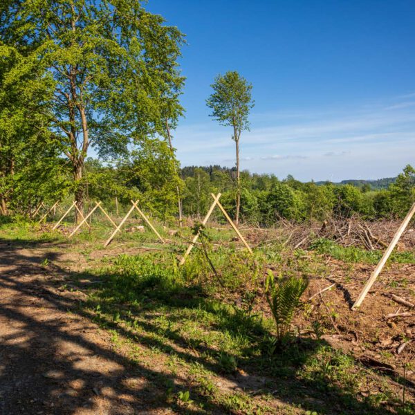 Deutschland, Europa, Europe, Extratour, Frühling, Germany, Hessen, Hessia, Hinterland, Lahn-Dill-Bergland, Location, Ort, Spring, Wandern