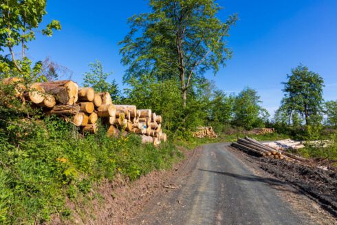 Deutschland, Europa, Europe, Extratour, Frühling, Germany, Hessen, Hessia, Hinterland, Lahn-Dill-Bergland, Location, Ort, Spring, Wandern