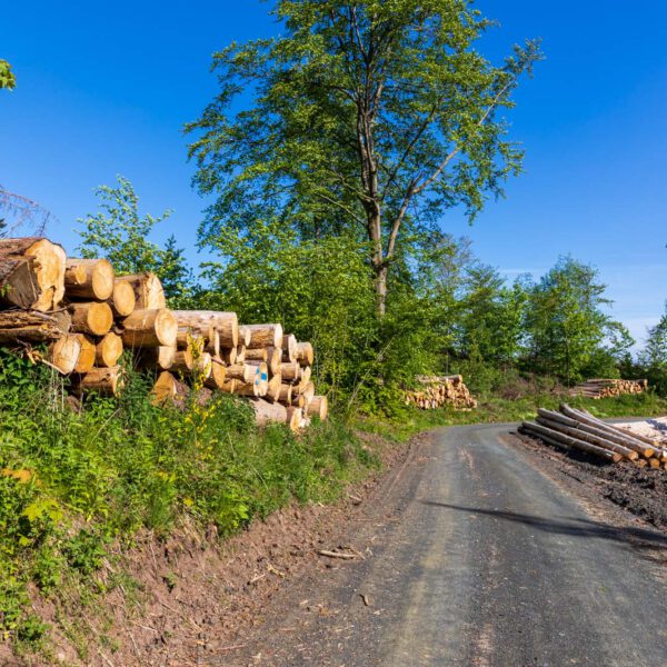 Deutschland, Europa, Europe, Extratour, Frühling, Germany, Hessen, Hessia, Hinterland, Lahn-Dill-Bergland, Location, Ort, Spring, Wandern