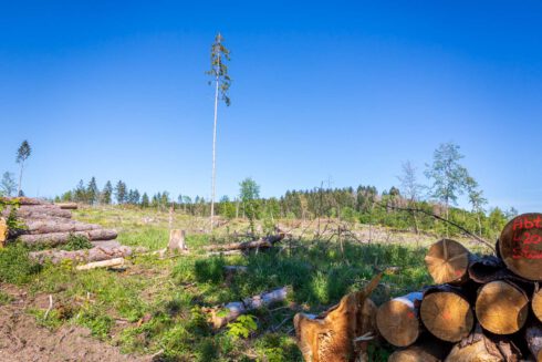 Deutschland, Europa, Europe, Extratour, Frühling, Germany, Hessen, Hessia, Hinterland, Lahn-Dill-Bergland, Location, Ort, Spring, Wandern