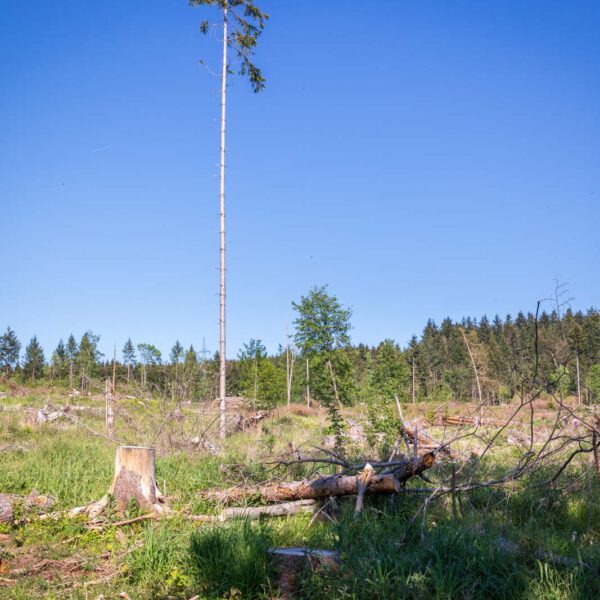 Deutschland, Europa, Europe, Extratour, Frühling, Germany, Hessen, Hessia, Hinterland, Lahn-Dill-Bergland, Location, Ort, Spring, Wandern