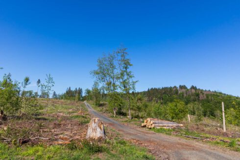 Deutschland, Europa, Europe, Extratour, Frühling, Germany, Hessen, Hessia, Hinterland, Lahn-Dill-Bergland, Location, Ort, Spring, Wandern