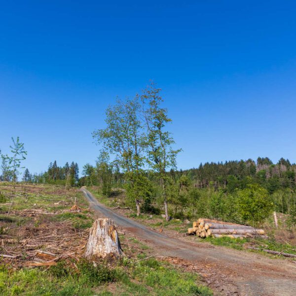 Deutschland, Europa, Europe, Extratour, Frühling, Germany, Hessen, Hessia, Hinterland, Lahn-Dill-Bergland, Location, Ort, Spring, Wandern