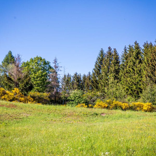 Deutschland, Europa, Europe, Extratour, Frühling, Germany, Hessen, Hessia, Hinterland, Lahn-Dill-Bergland, Location, Ort, Spring, Wandern